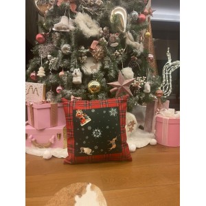 Kırmızı Ekoseli Kırlent Kılıfı Dolgulu Pivoine (2 Adet)