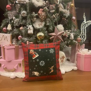 Kırmızı Ekoseli Kırlent Kılıfı Dolgulu Pivoine (2 Adet) Kırmızı Ekoseli Kırlent Kılıfı Dolgulu Pivoine (2 Adet)