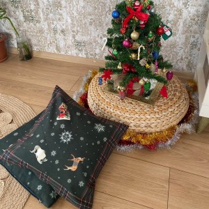 Yeşil Ekoseli Kırlent Kılıf Dolgulu Pivoine (2 Adet) Yeşil Ekoseli Kırlent Kılıf Dolgulu Pivoine (2 Adet)